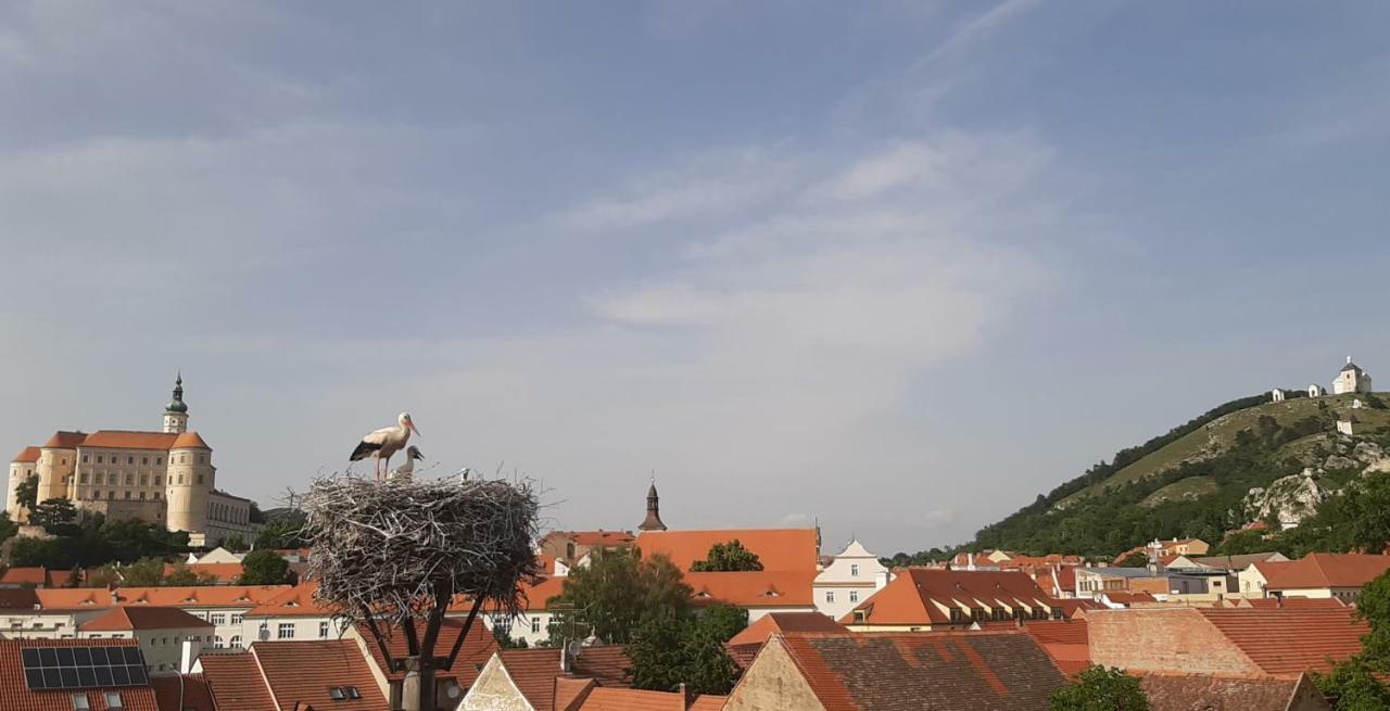 Penzion Cap Mikulov Buitenkant foto