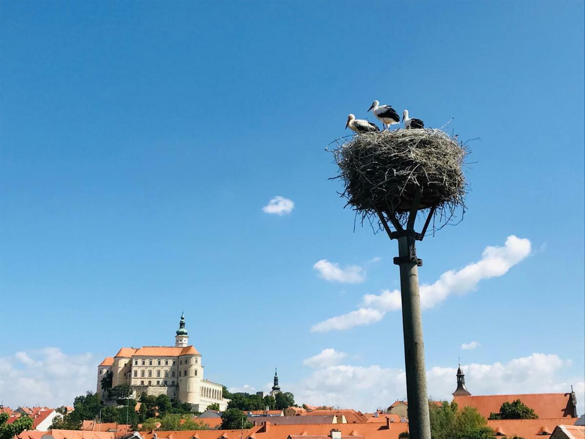 Penzion Cap Mikulov Buitenkant foto